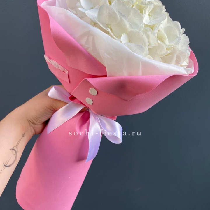 Гортензия в розовом пиджаке в Рыбинске