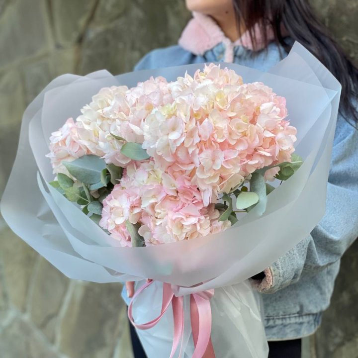 5 розовых гортензий в Рыбинске