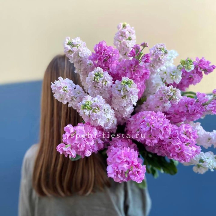 Охапка маттиолы в Рыбинске