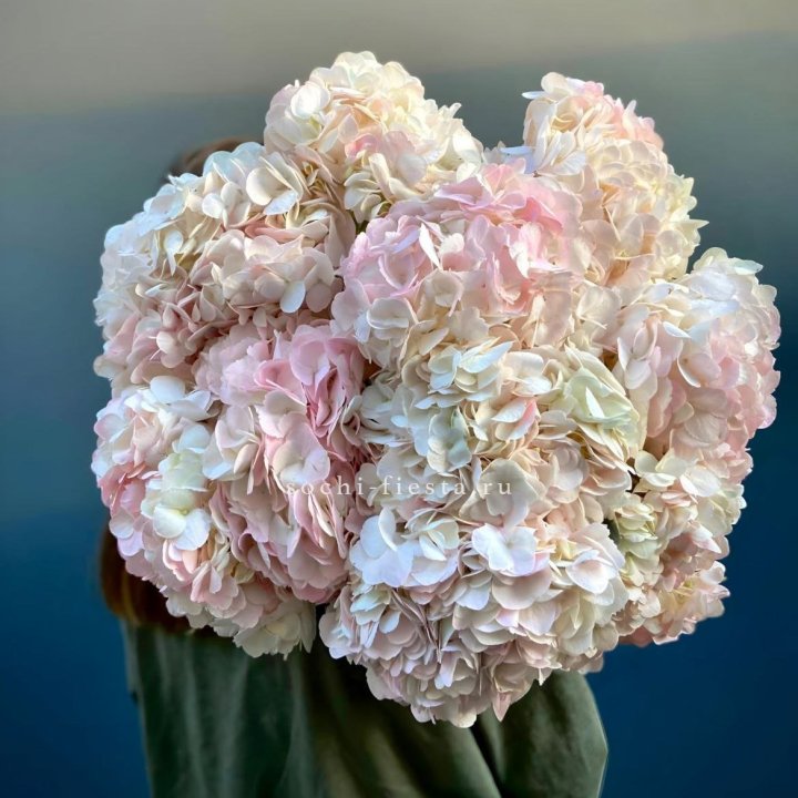 Охапка розовой гортензии в Рыбинске