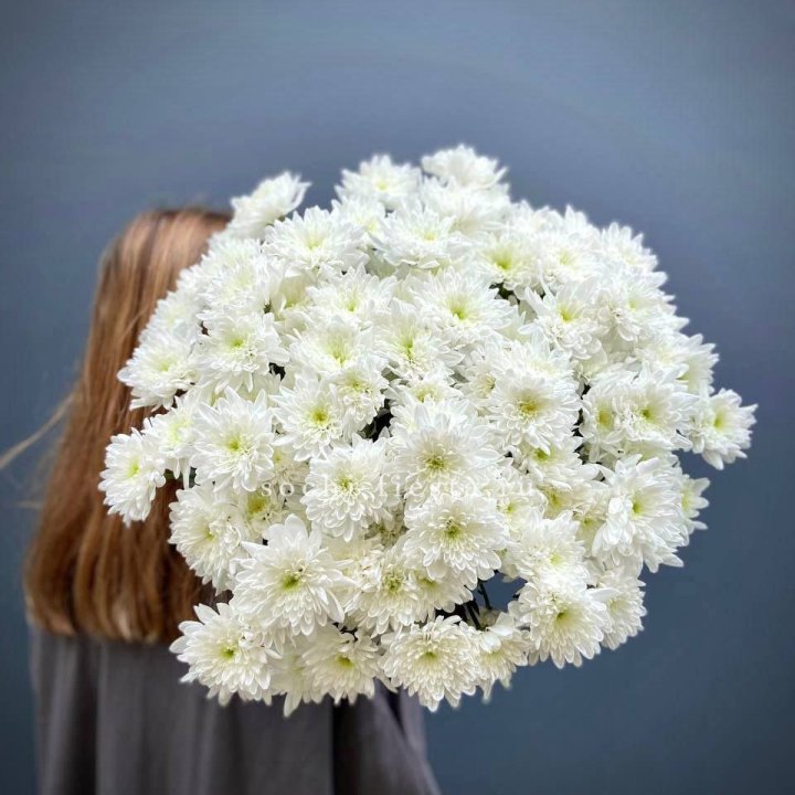 Охапка Хризантемы кустовой в Рыбинске