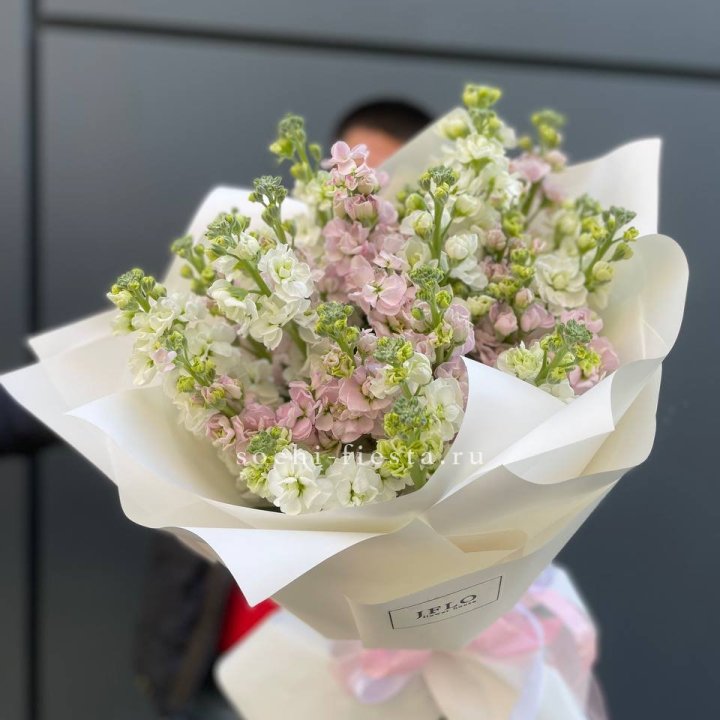 29 маттиол  в Рыбинске