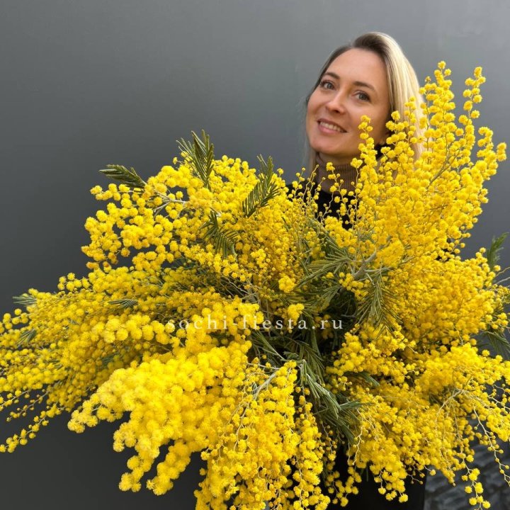Охапка мимозы №2 в Рыбинске