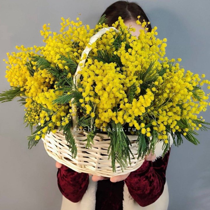 Корзина ароматной мимозы в Рыбинске