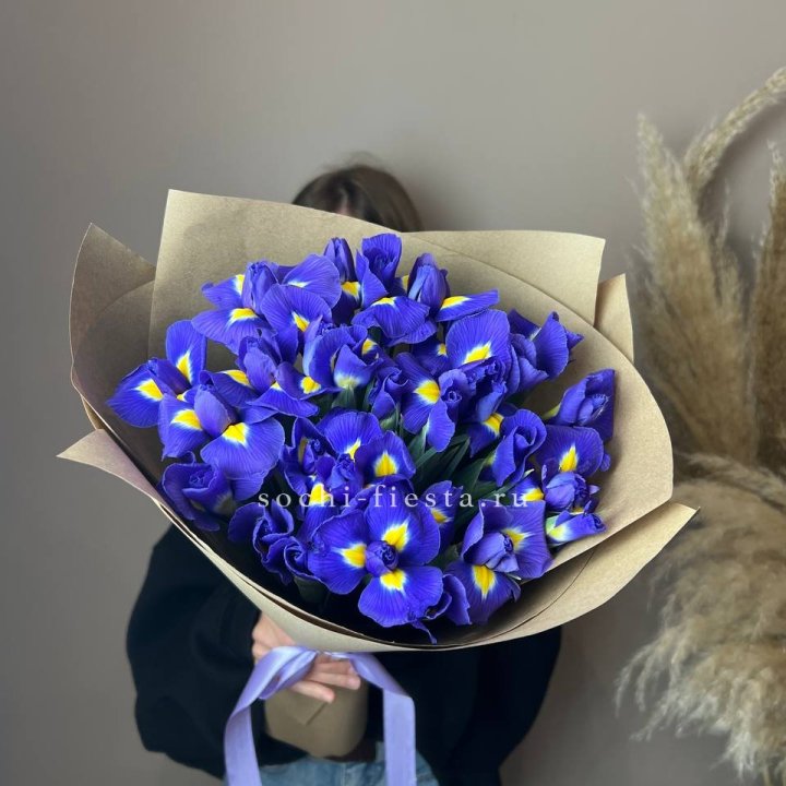 Ирисы в Рыбинске