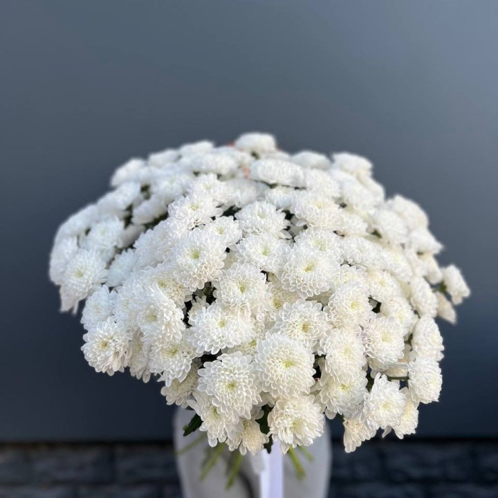  25 хризантем белых в Рыбинске