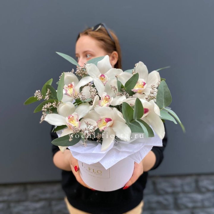 7 орхидей в боксе в Рыбинске