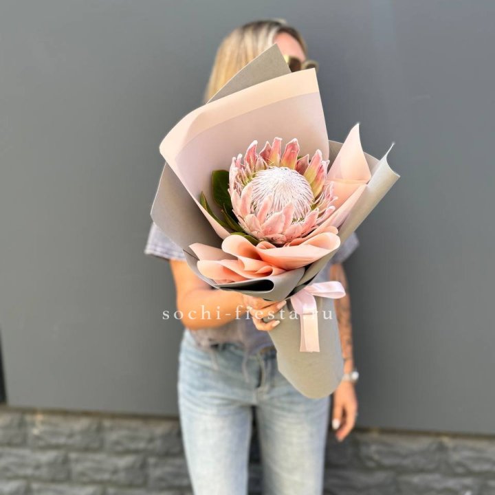 Протея мини  в Рыбинске