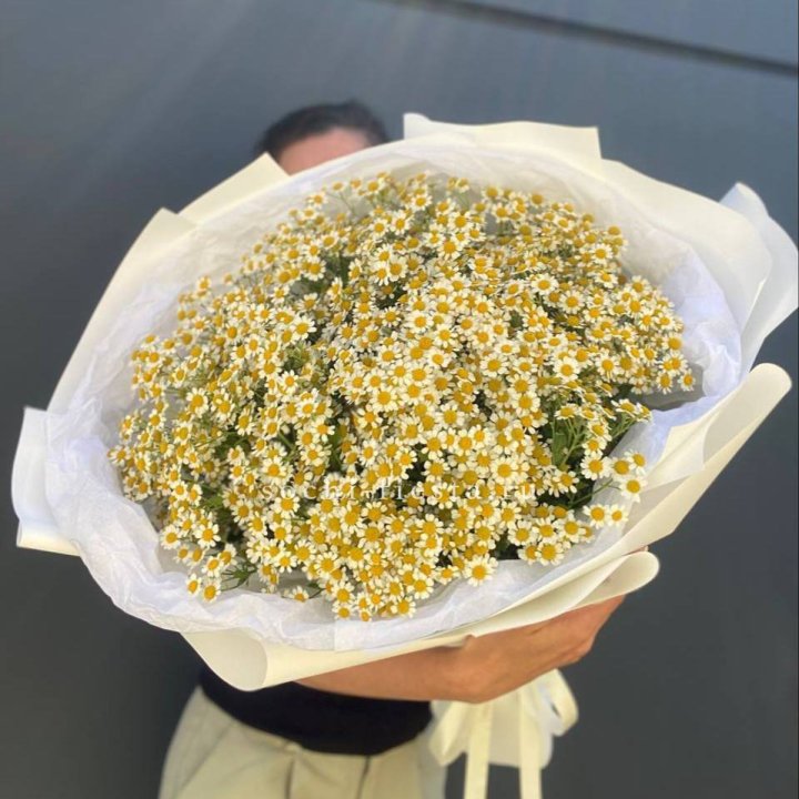 Букет ромашек №2 в Рыбинске