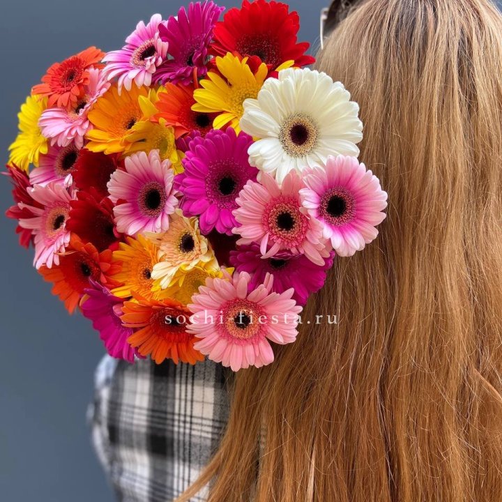 Охапка гербер  в Рыбинске