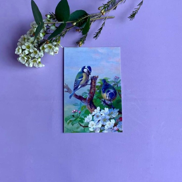 Открытка к букету "Птицы" в Рыбинске