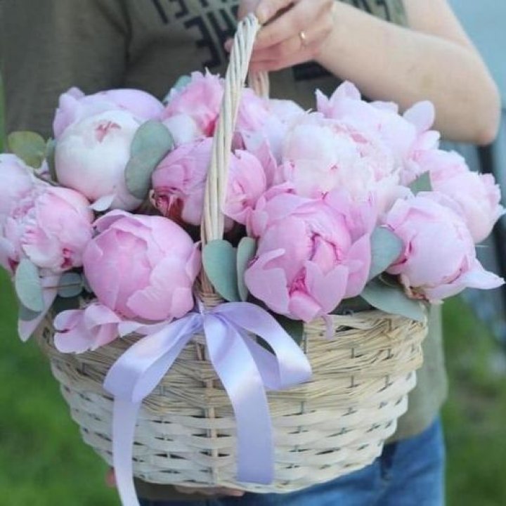 15 пионов в корзине в Рыбинске