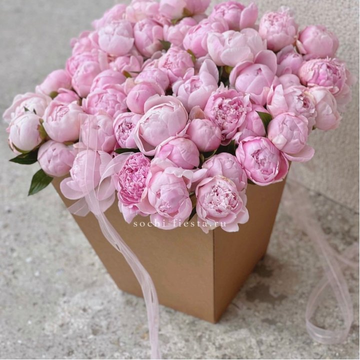 49 пионов в крафт коробке в Рыбинске