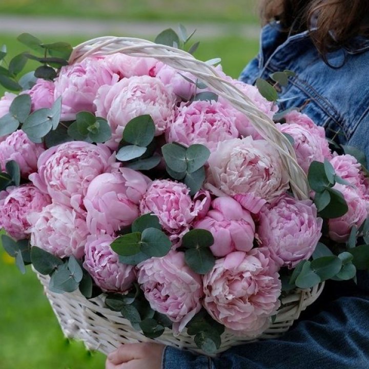 51 пион в корзине в Рыбинске