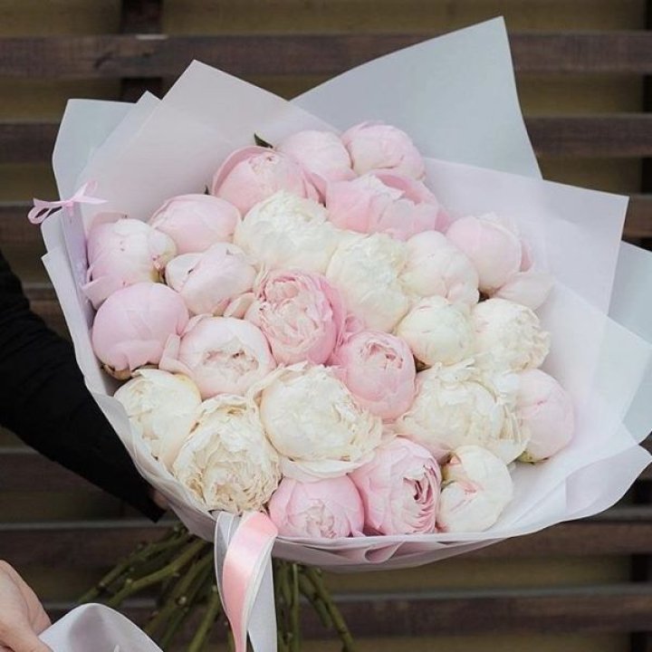 29 пионов в Рыбинске