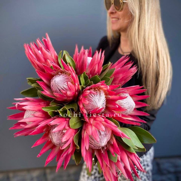 Протея штучно в Рыбинске