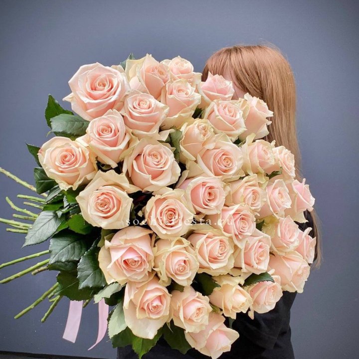 35 кремовых высоких роз в Рыбинске