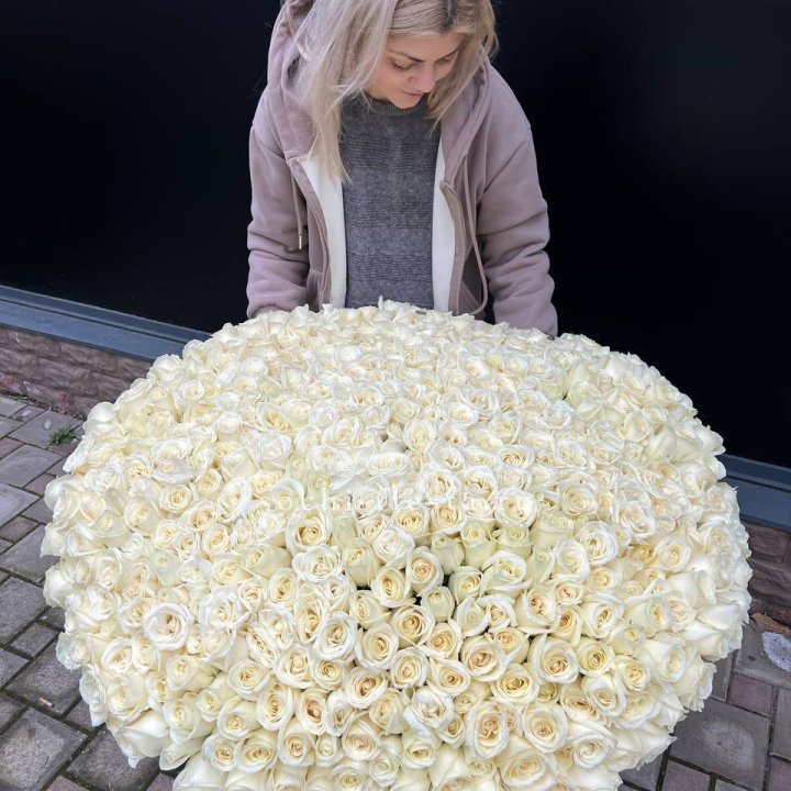 501 белая роза в корзине в Рыбинске