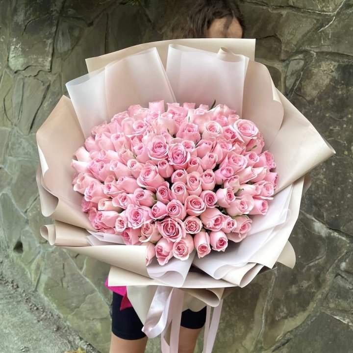 101 нежно-розовая роза Каролина  в Рыбинске