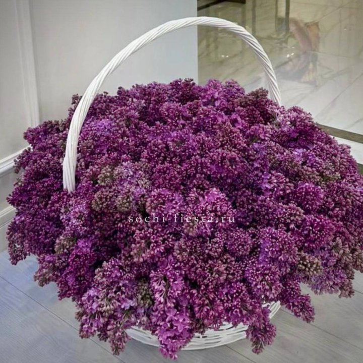 Корзина сирени в Рыбинске