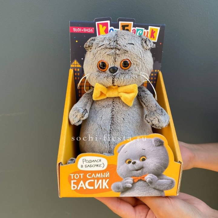 Кот Басик с бабочкой в Рыбинске