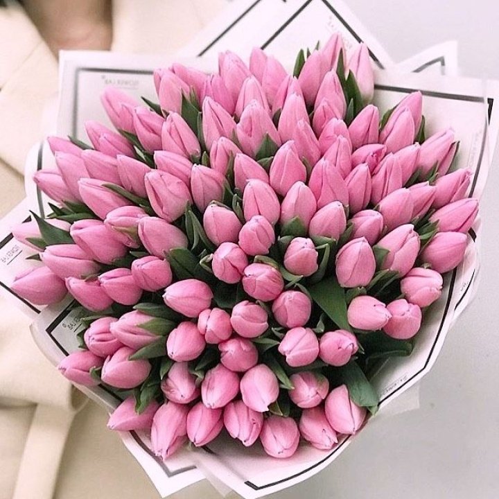 101 розовый тюльпан в белом в Рыбинске