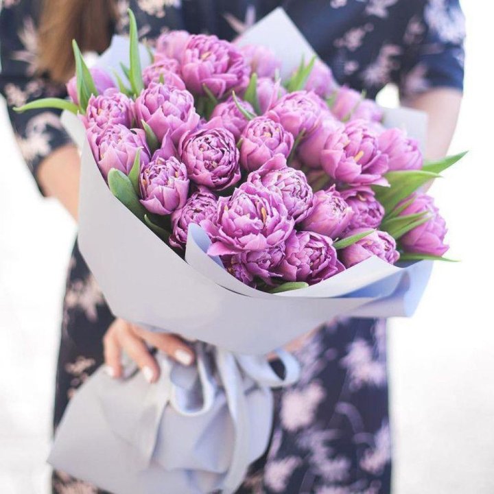 Тюльпаны "Пионс" в Рыбинске