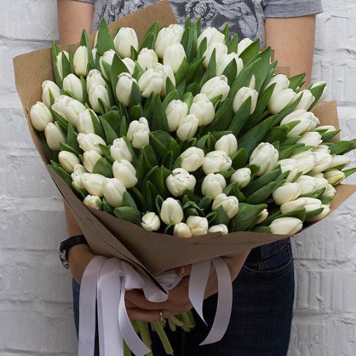 101 тюльпан сноу в Рыбинске