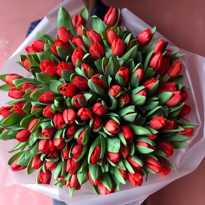 101 красный тюльпан в Рыбинске